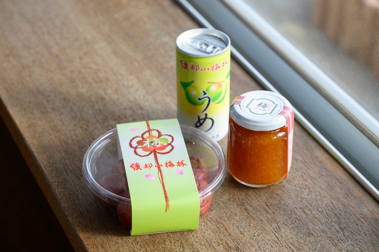 《早春の絶景散歩》紅白の梅の先には瀬戸内海、園内には古墳も！西日本随一の梅の名所「綾部山梅林」へ【兵庫県】