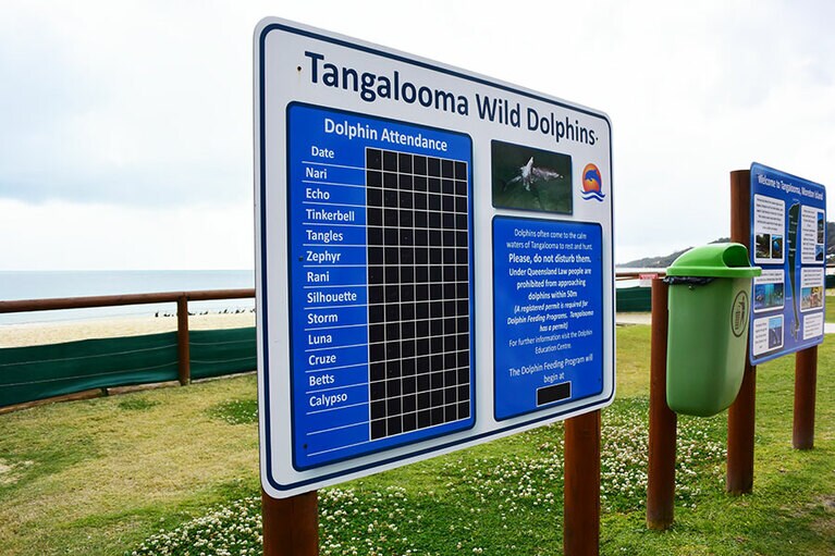 モートン島に現れるイルカたちの出席簿。