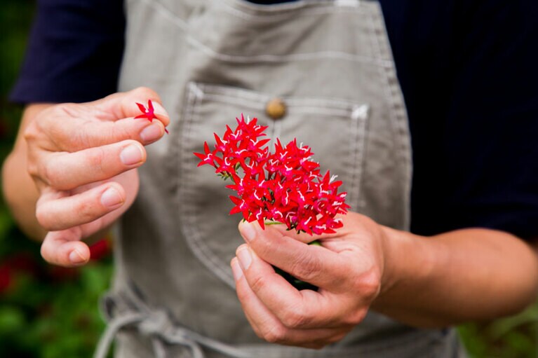 「高農園」にて。