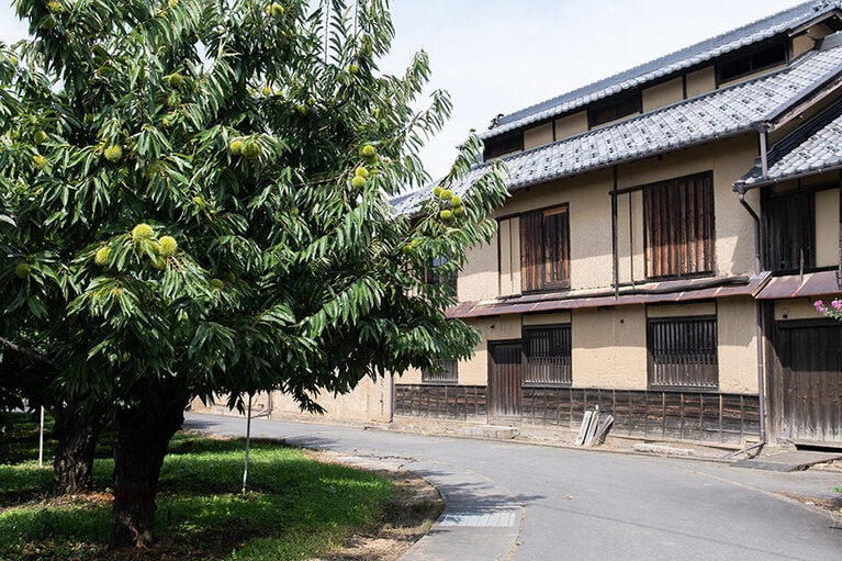 アイスクリームの家 エルバート。