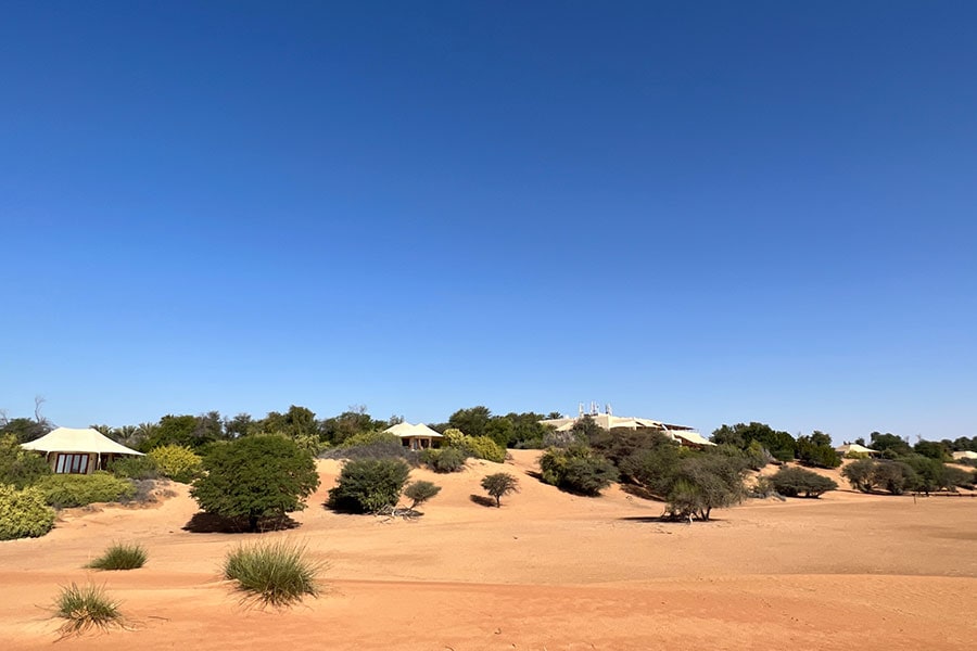 「アルマハ」は、砂漠に囲まれた高台にある。