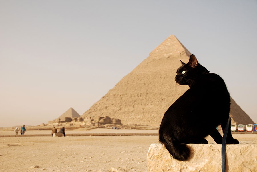 エジプト／ギザ(カフラー王のピラミッド)。