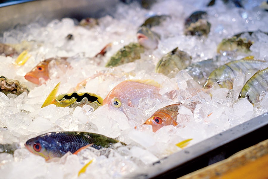 沖縄の県魚グルクンやシャコガイも。