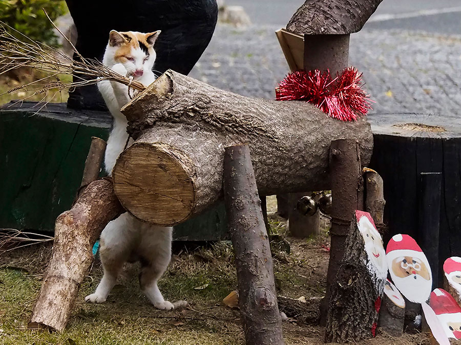 「ニャー!! 　クリスマスの飾りつけで忙しいのニャ!!」