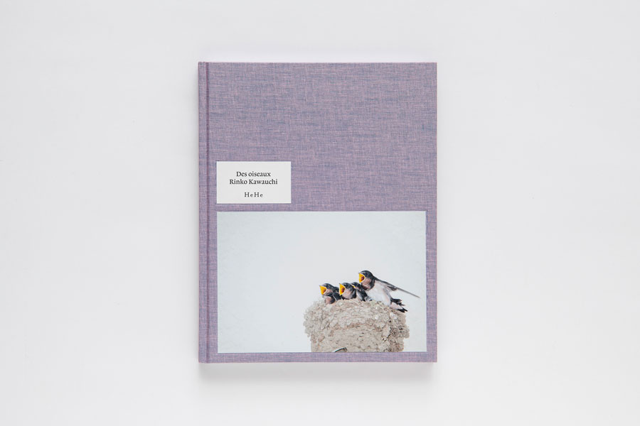 最新の写真集『Des oiseaux』(HeHe)　6,380円。
