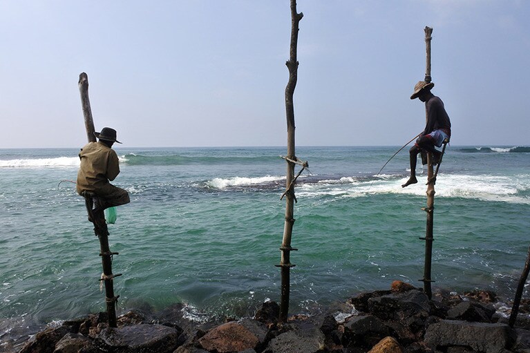 こちらが竹馬漁。竿の上に座り、延々と魚を待ちます。