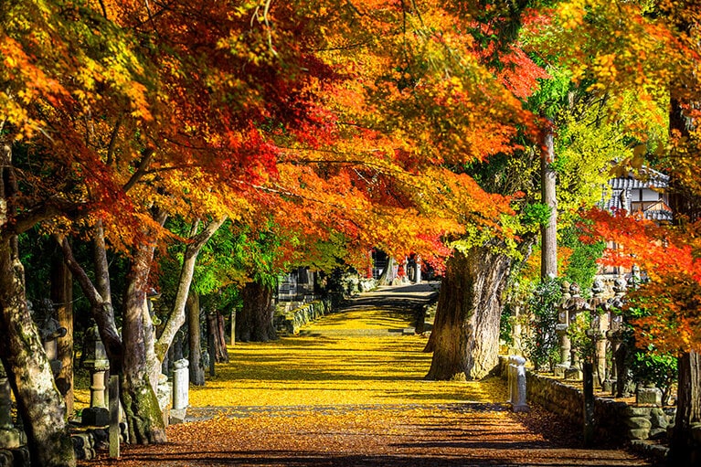 【三重県】積田神社。