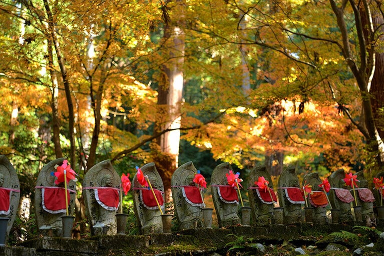 【滋賀県】金剛輪寺。