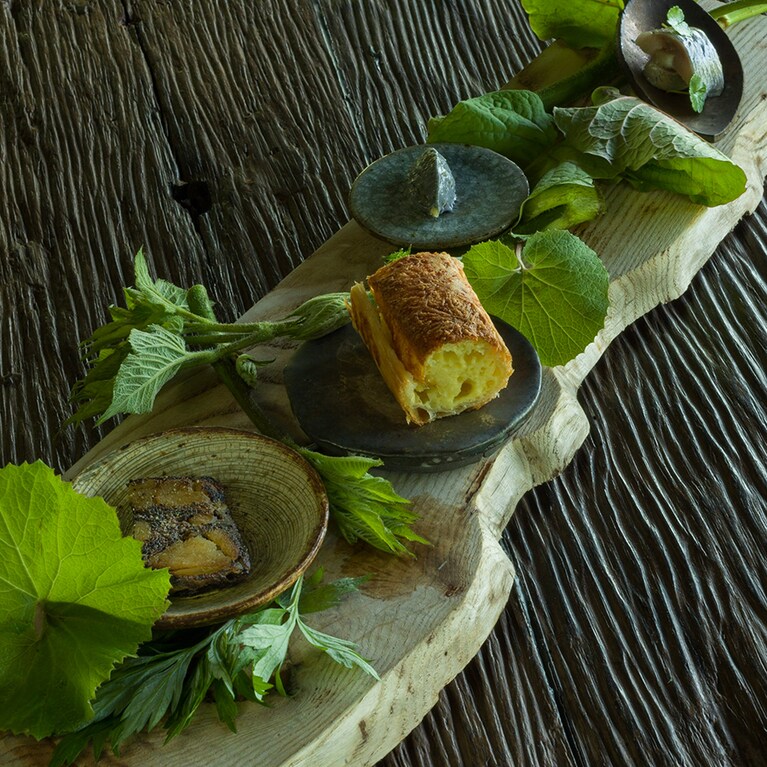 撮影：ショウヤ・グリッグ