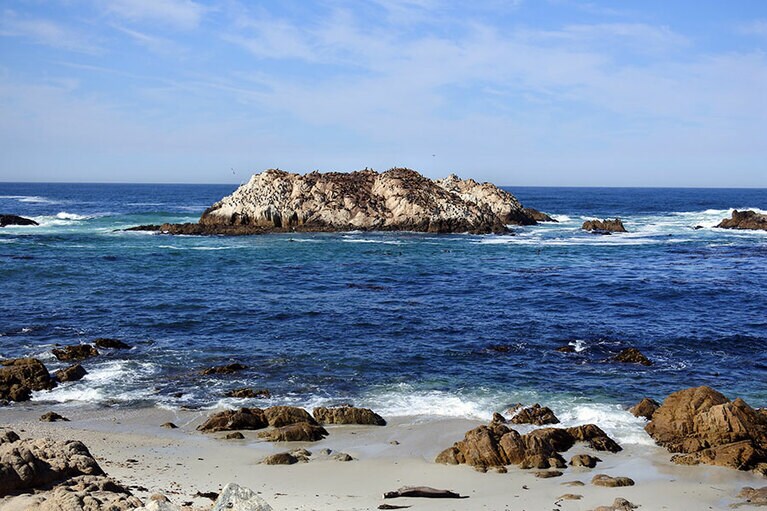 こちらがバード・ロック。遠くからではわかりづらいけれど……。