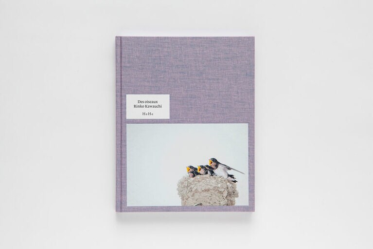 最新の写真集『Des oiseaux』(HeHe)　6,380円。