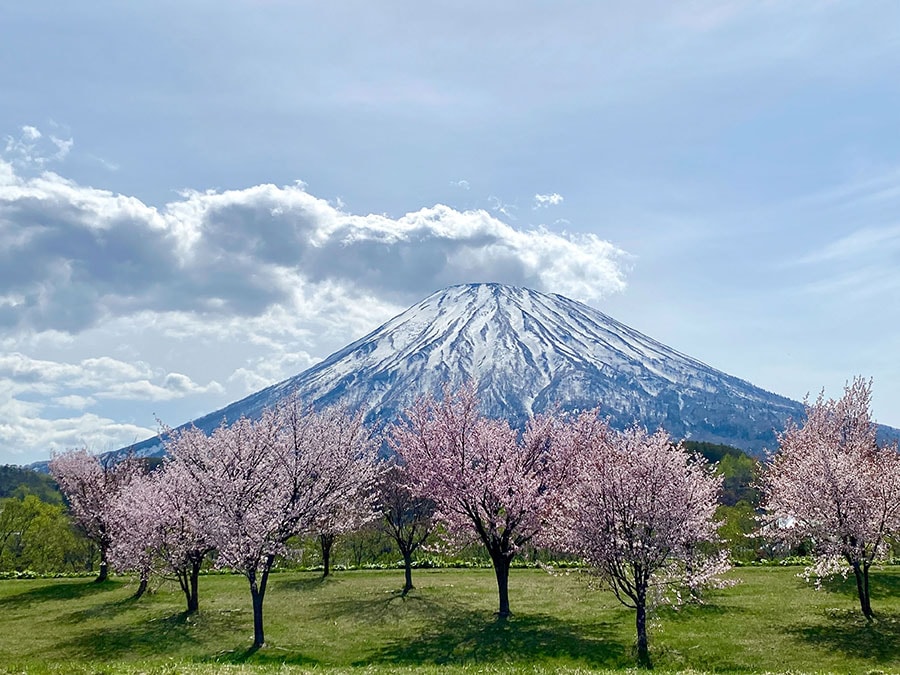 春の羊蹄山。北海道観光振興機構