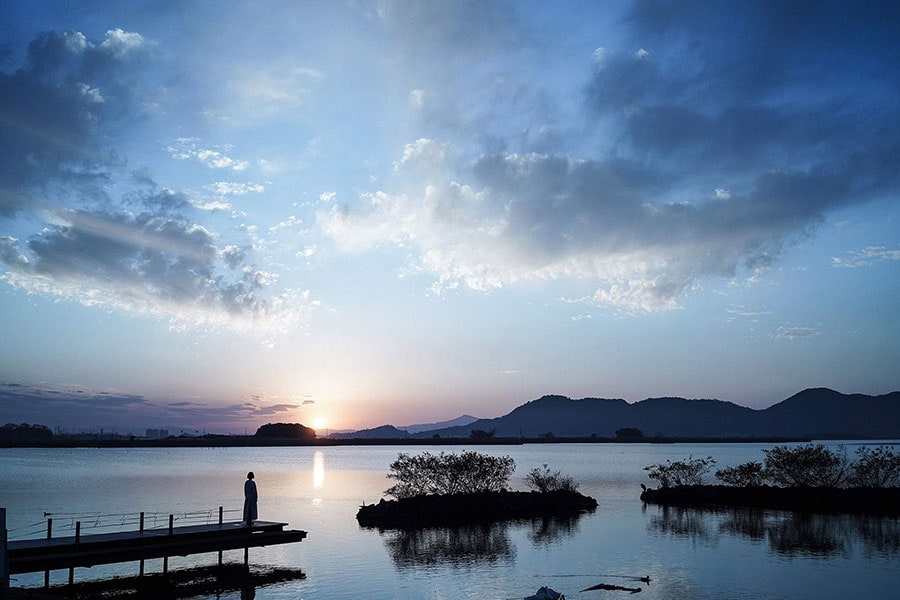 琵琶湖の内湖である西の湖。滋賀県近江八幡市に位置し、現存する内湖の中では最大の面積を誇る＝2020年12月11日、岩倉しおり氏撮影)