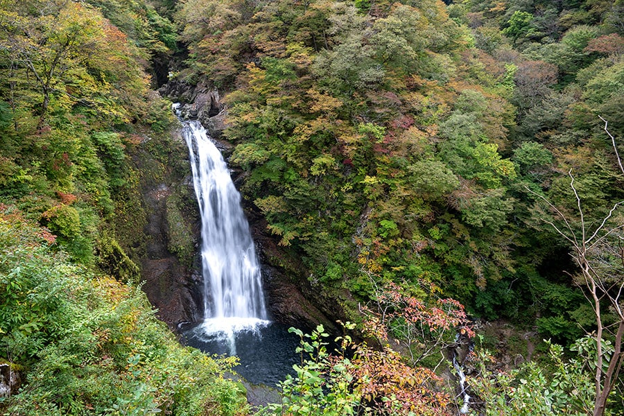 幅6m、落差55mの秋保大滝。