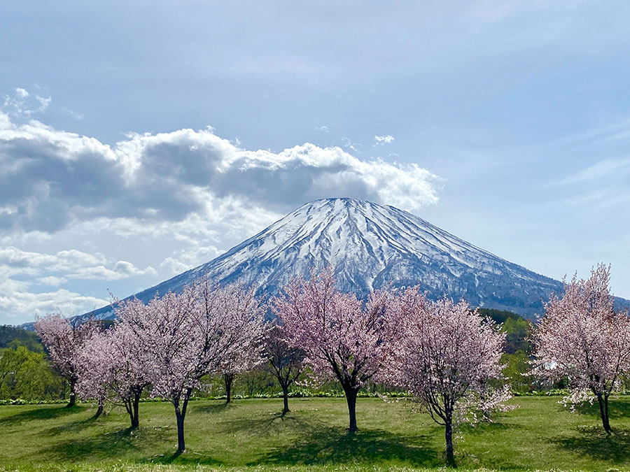 春の羊蹄山。北海道観光振興機構