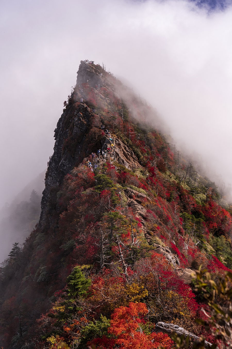 【愛媛県】石鎚山の紅葉。