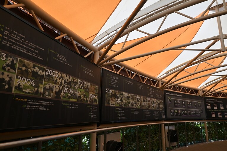 「ブリーディングセンター」に掲示されているアドベンチャーワールドのパンダの歴史。2025年6月28日（土）。