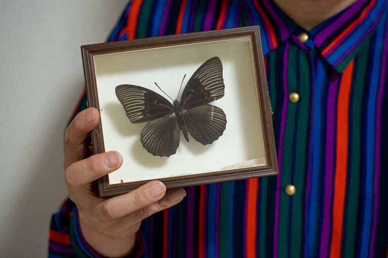 何の変哲もない標本に見えるが、邪悪な念が入っているのだろうか。