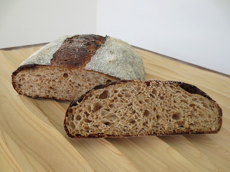 「和歌山県産小麦」の断面。