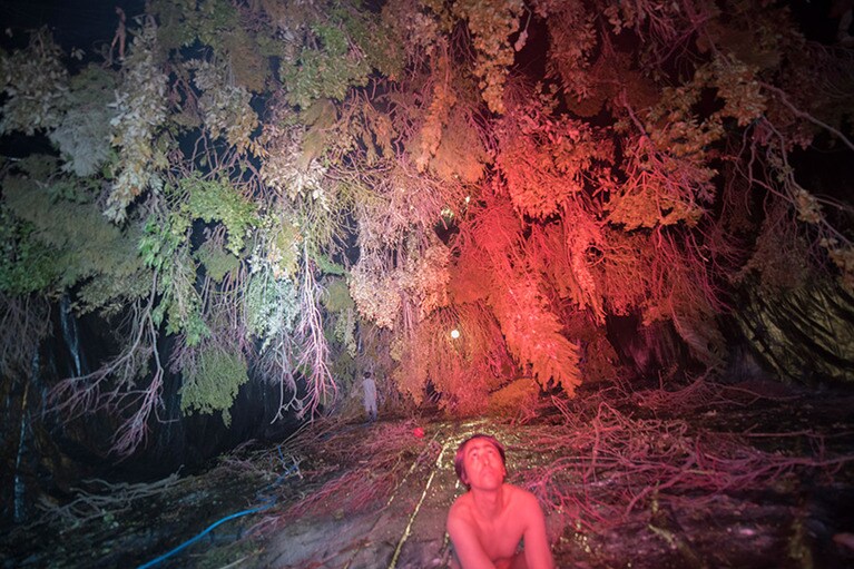 〈ヒューマン・スプリング〉2018年 作家蔵 発色現像方式印画 ©Lieko Shiga