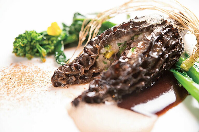 トガリアミガサタケのリゾットづめロースト。