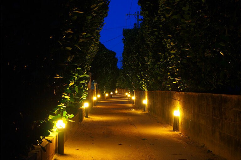 フクギ並木をロマンチックに照らすフットライト。©渡名喜島