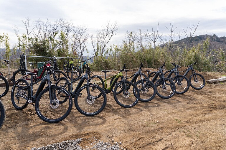 豊かなオリーブ畑をマウンテンバイクで巡る、特別なアクティビティが。