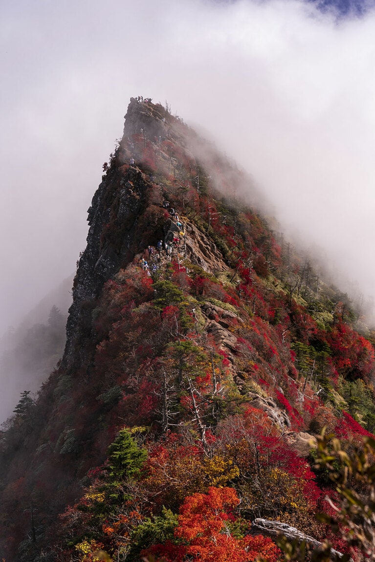 石鎚山の紅葉。