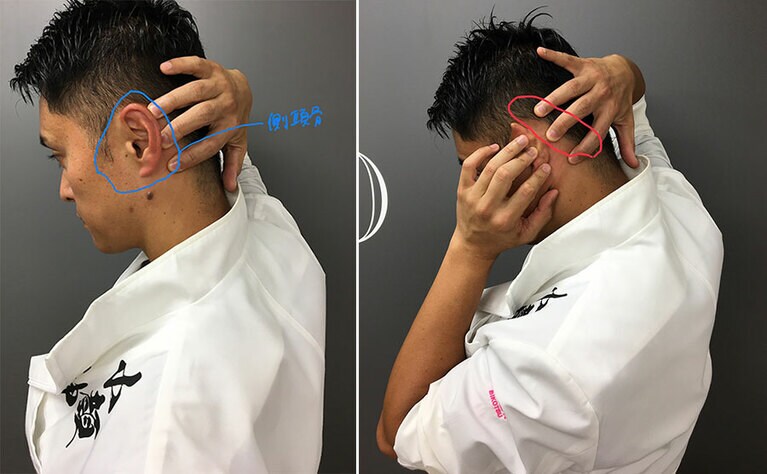 側頭骨は頭蓋骨の一部で、耳の辺りに位置する。赤で囲った辺りの骨を押さえる。