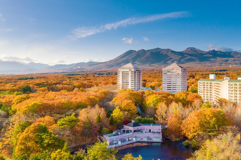 約5万坪の敷地内に楽しいことがたっぷり！