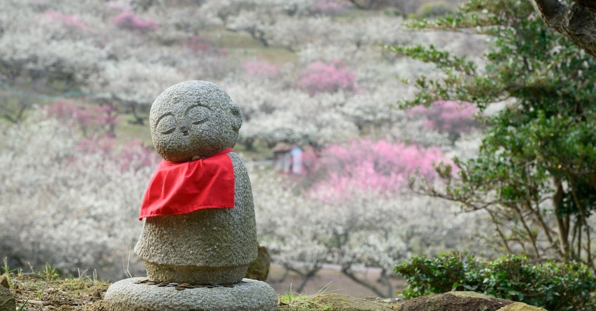 早春の絶景散歩》紅白の梅の先には瀬戸内海、園内には古墳も！西日本随