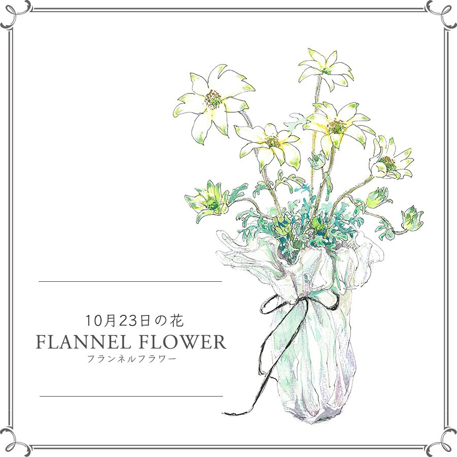 Flannel Flower フランネルフラワー ヘッドドレス ゴールド Davismountainsresort Com