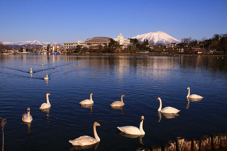 【岩手県】高松公園 高松の池。