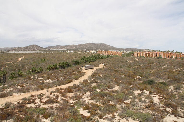 「ザ ケープ」の背景にある景色。乾いた大地にパームツリーが一列に生えているのは、そこに水脈があるということ。