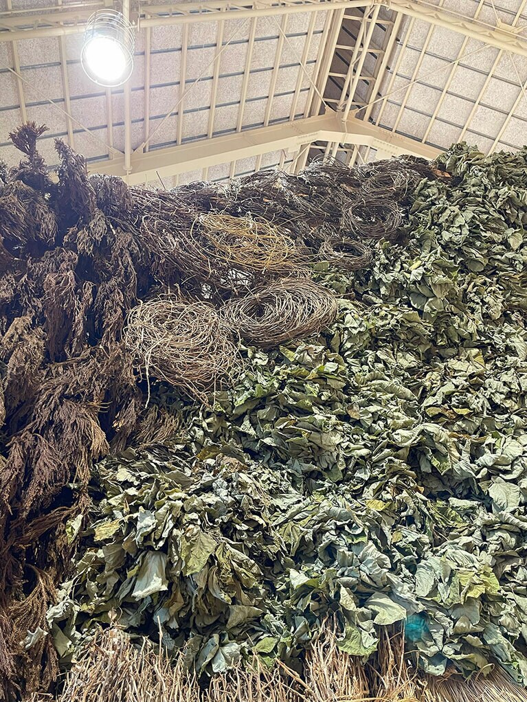 井上唯《ヤマノクチ》 2024