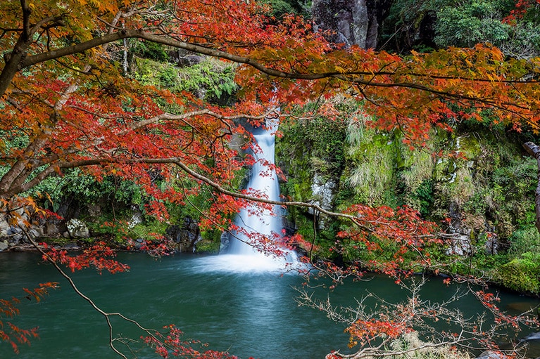 観音滝公園の紅葉。写真協力：公益社団法人　鹿児島県観光連盟