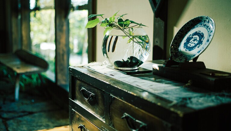 館内のあちこちに愛らしい花や植物が。