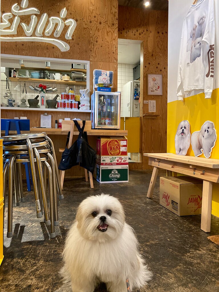 現在、タイ在住の関由香さんの写真展がタイカレー食堂で開催中です。