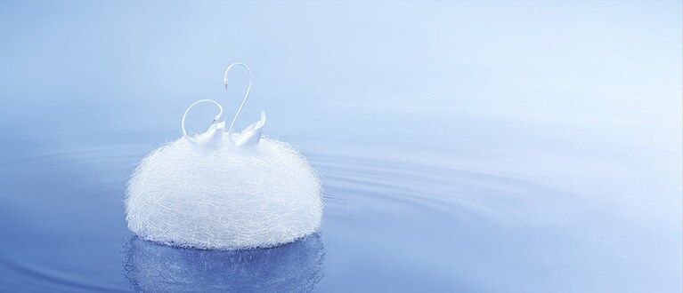 「ブラックスワン」のために創作した、美しい白鳥のケーキ。