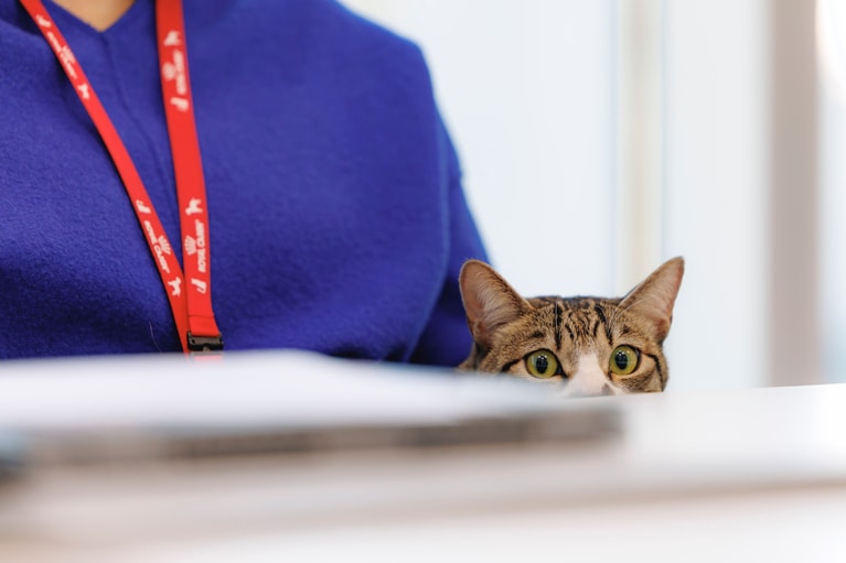 ドロンパくん。