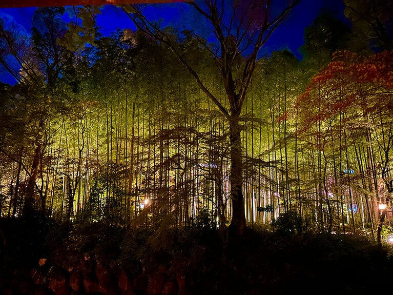竹林の小径のライトアップは午後11時まで。