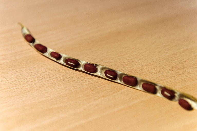 薦池大納言は鬼からの恵み？