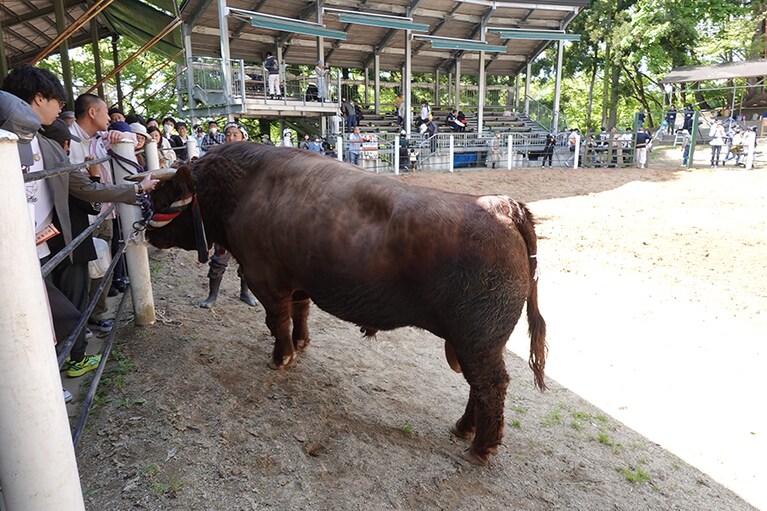 取り組みが終わった後はファンサービスも。