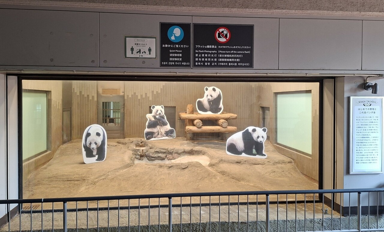 東園パンダ舎の屋内放飼場（運動場）。左から、ジャイアントパンダのユウユウ、フェイフェイ、トントン、ホァンホァンのパネル。（2026年7月25日、筆者撮影）