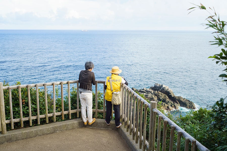 運が良ければ実際にお亀さんが、海面から顔を出す。