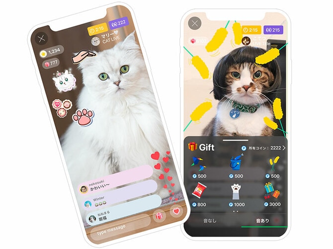 日本初の“猫だけのライブ配信アプリ”「nekochan」が気になる！［猫を愛したくなる26のトリビア］ | 猫を愛したくなる26のトリビア