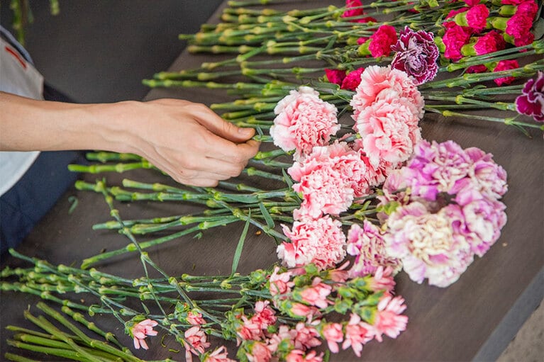 カーネーションの茎は節の部分で折れやすいので優しく持ちましょう。