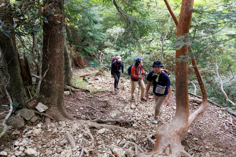 八経ヶ岳へは本格的な登山となるので、日帰りの場合は早朝出発が必須。