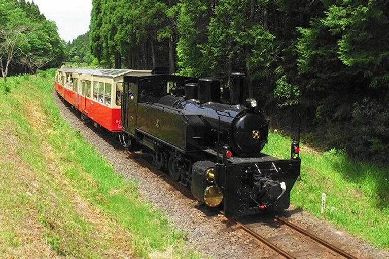 【小湊鐵道】窓ガラスのない車両で自然の景色を存分に味わえるトロッコ列車は整理券が必要。運行スケジュールを確認して。