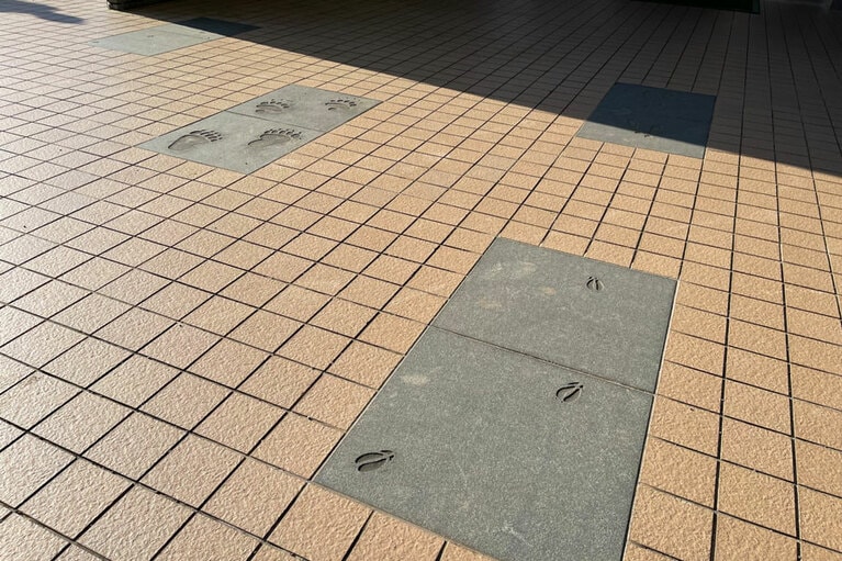 入り口前のタイルには生き物たちの足跡が埋め込まれている。手前がエゾシカで、奧はヒグマだ。